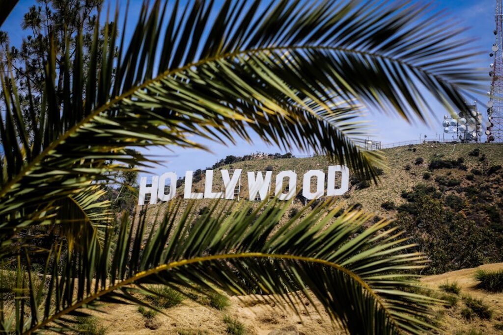 The iconic Hollywood sign in Los Angeles, California, framed by green palm leaves, with a clear blue sky in the background.
