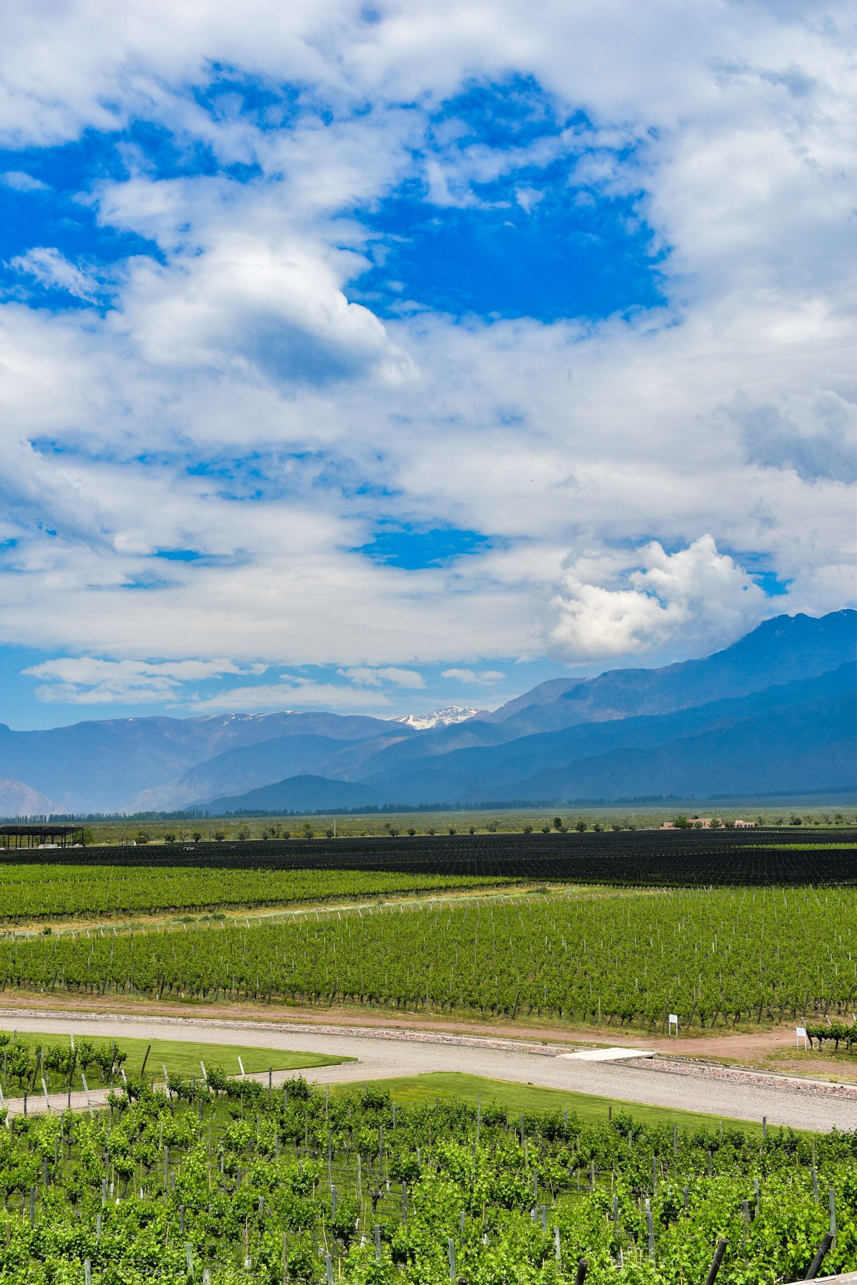 Mendoza