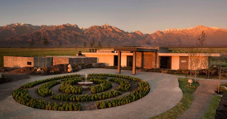 The Vines of Mendoza