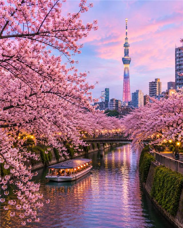 Tokyo, Japan