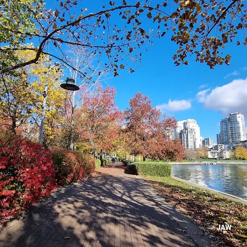 David Lam Park