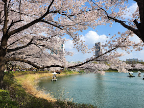 Seokchon Lake Park