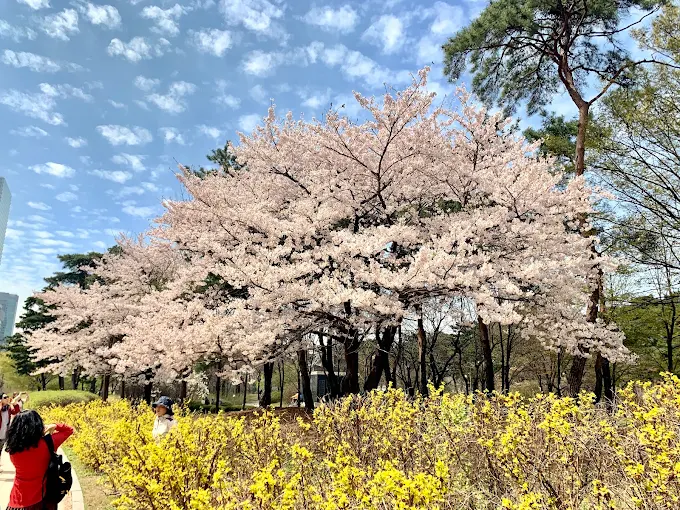 Yeouido Park