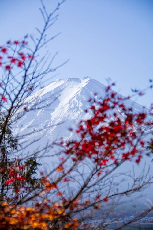 Japan