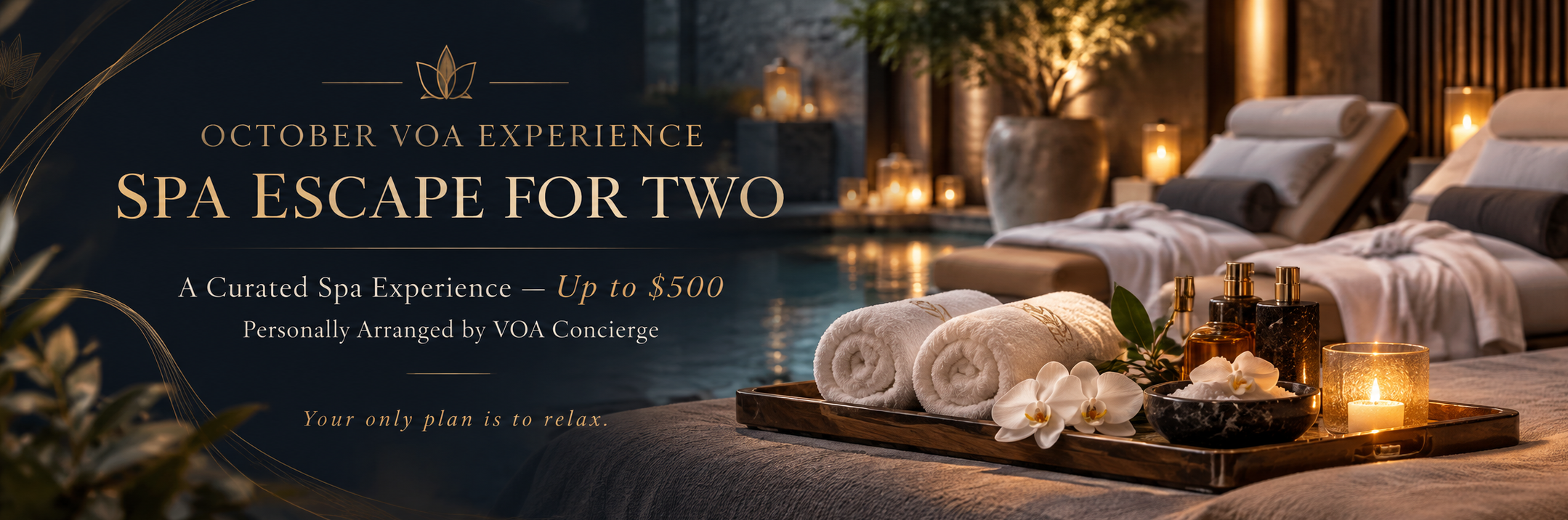 VOA Member Exclusive Experience